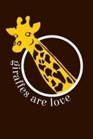 Giraffes Are Love