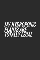 My Hydroponic Plants Are Totally Legal