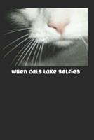 When Cats Take Selfies