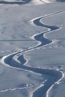 Snowboard Tracks in the Snow Journal