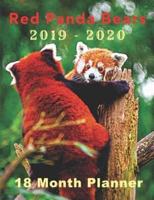 Red Panda Bears 2019 - 2020 18 Month Planner