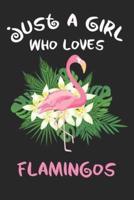 Just a Girl Who Loves Flamingos