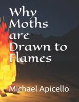 Why Moths Are Drawn to Flames