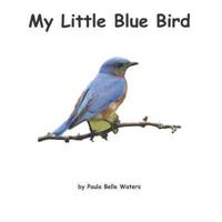 My Little Blue Bird