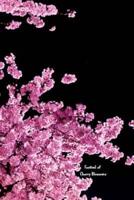 Festival of Cherry Blossoms