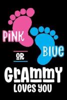 Pink Or Blue Grammy Loves You