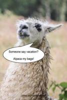 Someone Say Vacation? Alpaca My Bags!