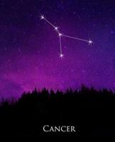 School Composition Book Cancer Constellation Night Sky Astrology Symbol 130 Pages