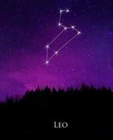 School Composition Book Leo Constellation Night Sky Astrology Symbol 130 Pages