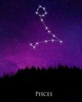 School Composition Book Pisces Constellation Night Sky Astrology Symbol 130 Pages