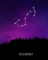 School Composition Book Scorpio Constellation Night Sky Astrology Symbol 130 Pages