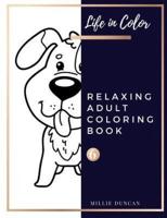 RELAXING ADULT COLORING BOOK (Book 6)