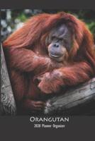 Orangutan 2020 Planner Organizer