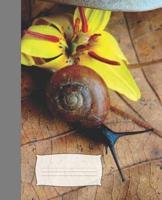 Cute Black and Brown Snail & Pretty Yellow Trout Lily Flower Wide-Ruled Lined School Composition Notebook