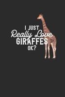 I Just Really Love Giraffes Ok ?