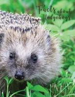 Facts About Hedgehogs