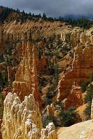 Hoodoos at Rainbow Point Bryce Canyon National Park Journal