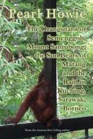 The Orangutans of Semenggoh, Mount Santubong, the Sun Bears of Matang and the Rain in Kuching, Sarawak, Borneo