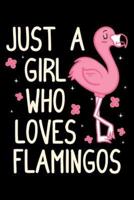 Just A Girl Who Loves Flamingos
