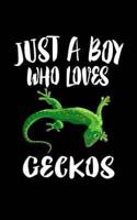 Just A Boy Who Loves Geckos