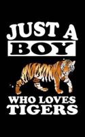 Just A Boy Who Loves Tigers