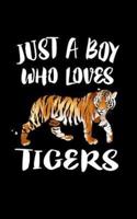 Just A Boy Who Loves Tigers