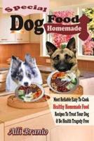 Special Dog Food Homemade