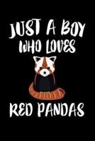 Just A Boy Who Loves Red Pandas