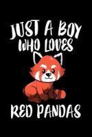 Just A Boy Who Loves Red Pandas