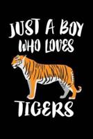 Just A Boy Who Loves Tigers