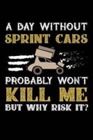 A Day Without Sprintcars Probably Won't Kill Me But Why Risk It?