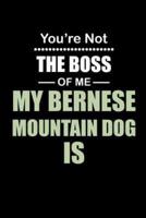 You're Not the Boss of Me My Bernese Mountain Dog Is