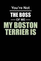 You're Not the Boss of Me My Boston Terrier Is