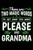 There Are Two Magic Words to Get What You Want Please And Grandma