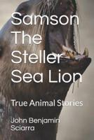 Samson The Steller Sea Lion