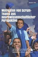 Motivation Von Scrum-Teams Aus Neurowissenschaftlicher Perspektive