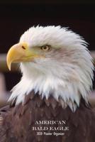 American Bald Eagle 2020 Planner Organizer