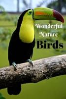 Wonderful Nature Birds