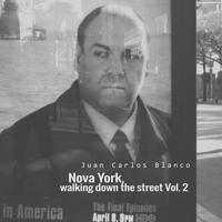 Nova York, Walking Down the Street Vol. 2