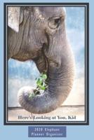 Here's Looking at You, Kid 6X9 2020 Elephant Planner Organizer