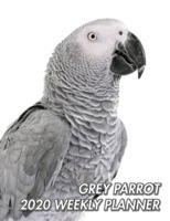 Grey Parrot 2020 Weekly Planner