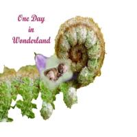 One Day In Wonderland