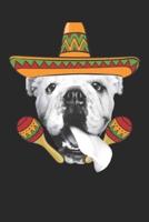 English Bulldog Journal - English Bulldog Notebook 'Cinco De Mayo' - Gift for English Bulldog Lovers