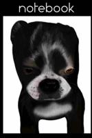 Boston Terrier Puppy Notebook