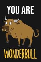 You Are Wonderbull
