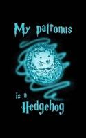 My Patronus Is A Hedgehog