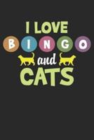 I Love Bingo and Cats