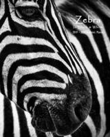 Zebra in Black & White 2019-2020 Academic Planner