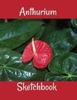 Anthurium Sketchbook