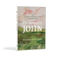 The Gospel of John - DVD Set